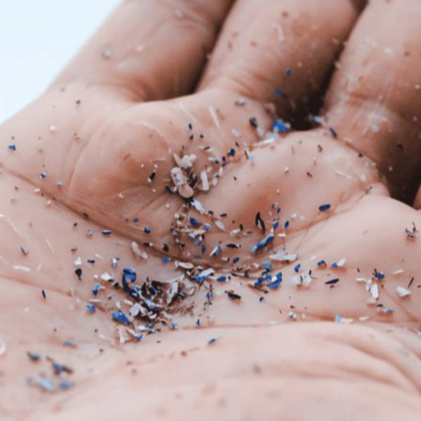 Microplastic pollution